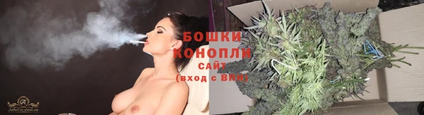 apvp Снежинск