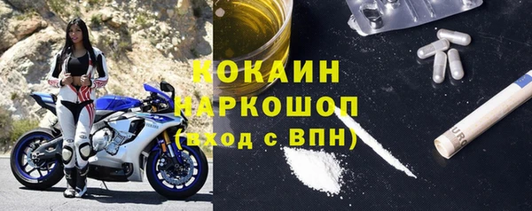 мдпв Снежногорск