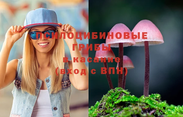 мдпв Снежногорск