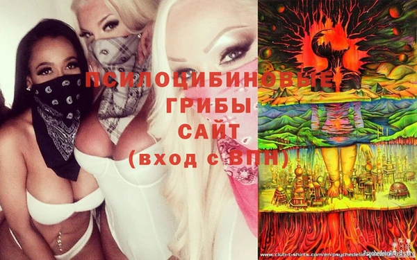 мдпв Снежногорск