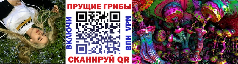 где купить наркотик  Харабали  Псилоцибиновые грибы Magic Shrooms 